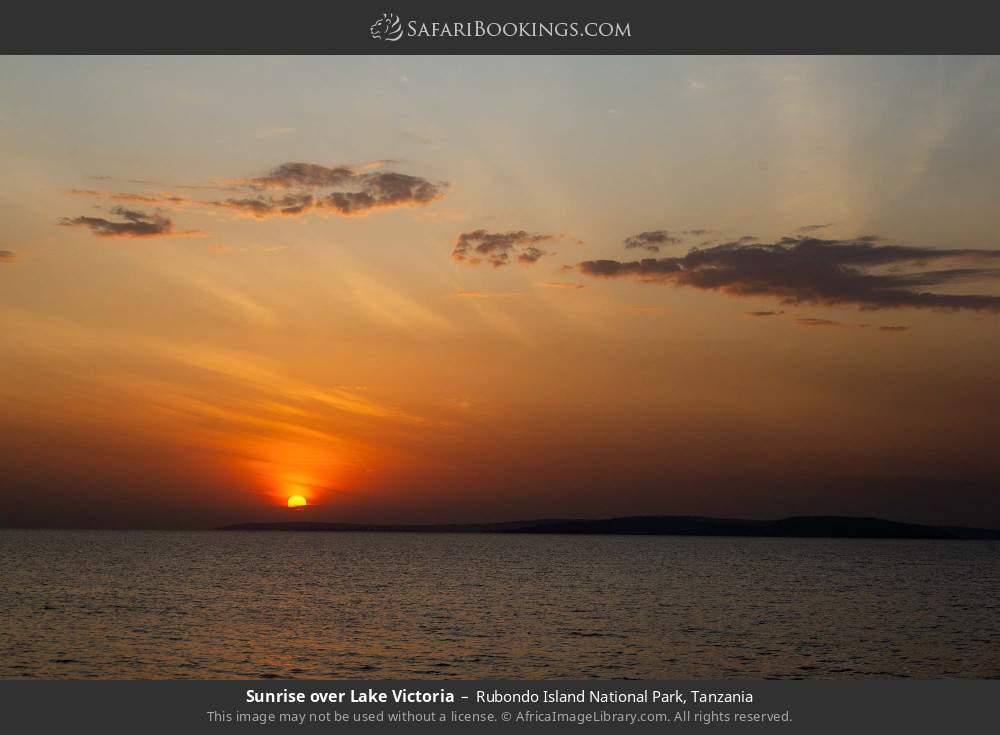 Sunrise over Lake Victoria in Rubondo Island National Park, Tanzania