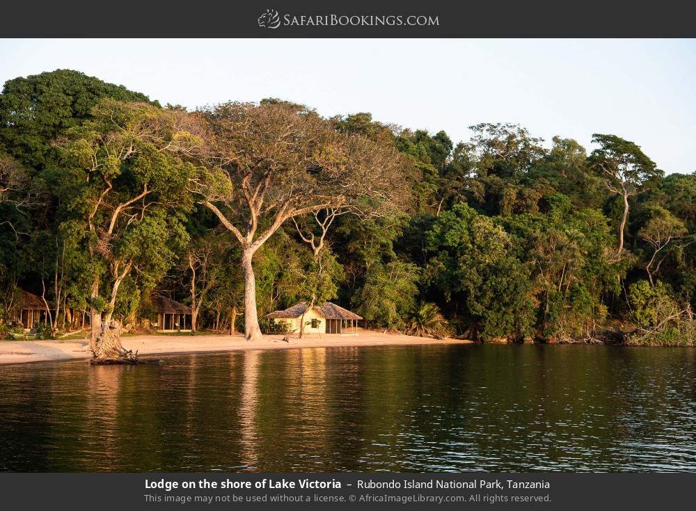 Lodge on the shore of Lake Victoria in Rubondo Island National Park, Tanzania
