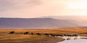 Open Photos
