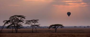 Hot-air balloon safari at dawn