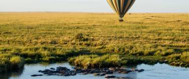 Hot-air balloon flying over the savannah