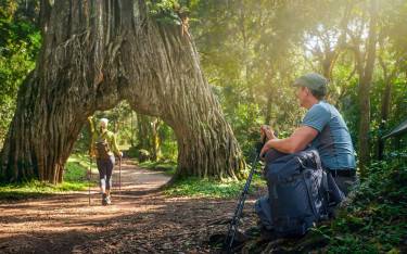Hikers in the forest in Arusha NP