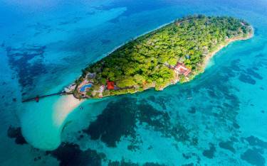 Aerial view of the forested island