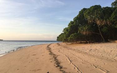 Thumbnail of Sandy beach