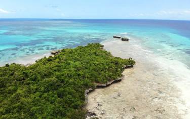 Thumbnail of Aerial view of the forested island