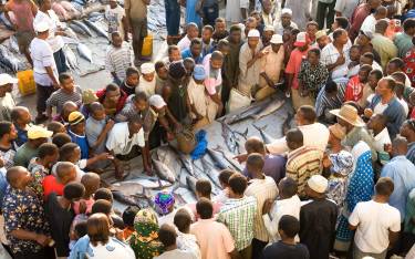 Kivukoni fish market