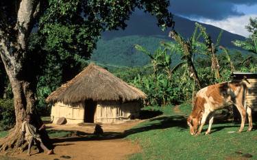 WaArusha homestead in Ng'iresi village on the foothills of Mt Meru