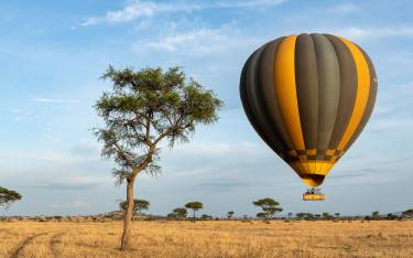 Hot-air balloon safari
