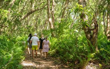 Tourists walking in Jozani Forest