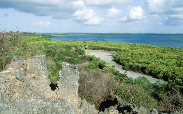 Kilwa Ruins, Husuni Kubwa, 14th-century sultan's palace