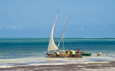 Thumbnail of Dhows at Kiwengwa Beach