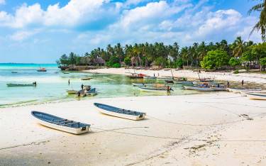 Thumbnail of Boats on the beach