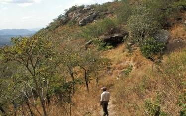 Guide leading the way to the rock art shelter