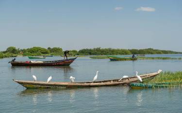 Fishing boats on Lake Victoria