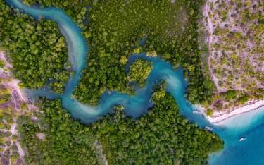 Mangrove swamp at Kanga Beach