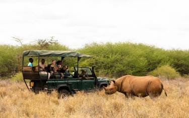 Safari vehicle with a black rhino