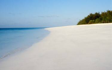 Thumbnail of White coral sand beach with casuarina trees on Mnemba Island