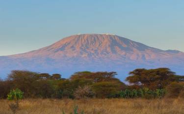 Kilimanjaro at sunrise