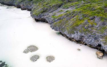 Seascape at low tide
