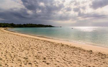 Beach scene