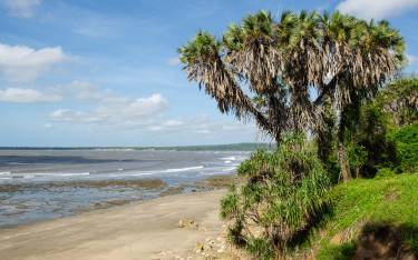 Thumbnail of Sandy beach