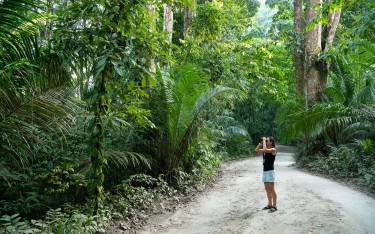 Bird watching in Ngezi Forest Reserve