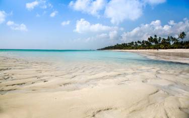 Thumbnail of Low tide