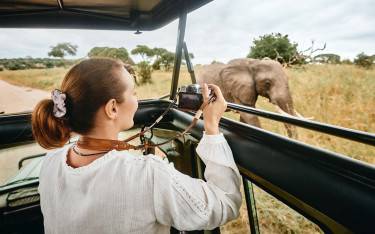 Safari-goer photographing an elephant