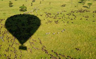 The wildebeest migration seen on a hot-air balloon safari