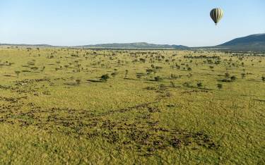 Hot-air balloon safari over the wildebeest migration