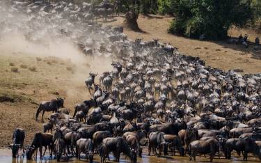 Best Things To Do in Tanzania