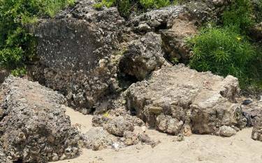 Unguja Ukuu ruins