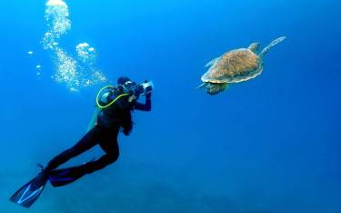Scuba diver swimming with a turtle
