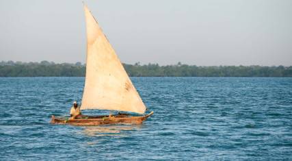 Fishing dhow