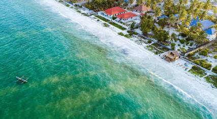 Aerial view of the beach
