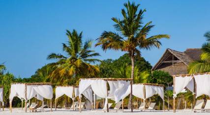 Sun loungers on the beach