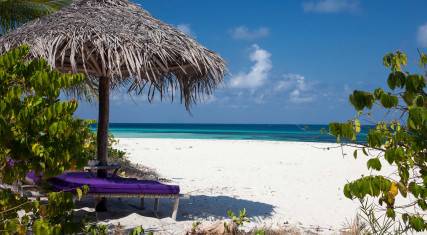 Sunbed on the beach