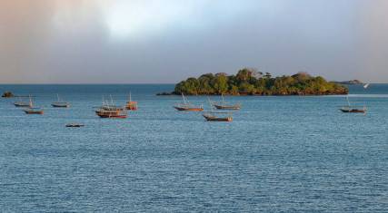 Fishing boats