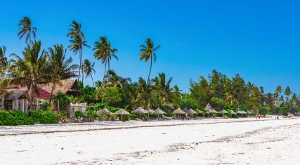 Palm-lined sandy beach