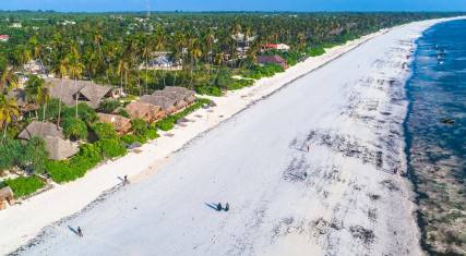 Aerial view of the beach