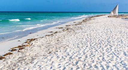 White sandy beach