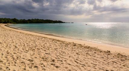 Beach scene