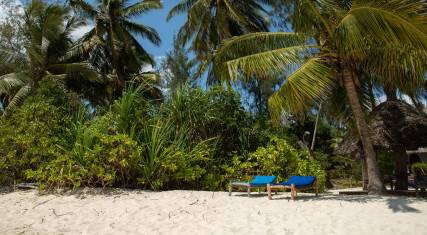Tropical beach scene
