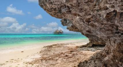 Coral outcrop on the beach