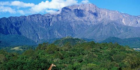 1-Day Arusha National Park Safari - Day Trip
