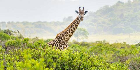 2-Day Ngorongoro & Hot Springs Safari