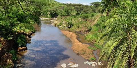 3-Day Mid-Range Safari to Tarangire, Crater & Manyara