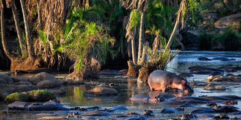 Serengeti, Ngorongoro, Tarangire & Manyara Private