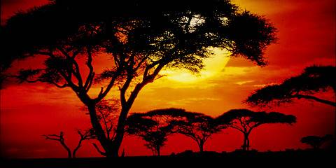 3-Day Safari Taster Serengeti and Ngorongoro