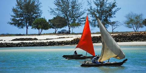 8-Day Tanzania Safari and Zanzibar Vacation Tour